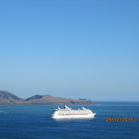 Pacific View Bed And Breakfast Wellington Esterno foto